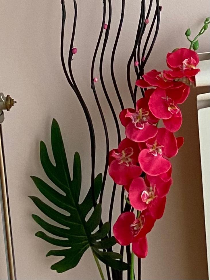 Apartment Orchid 021 Нови Сад Екстериор снимка